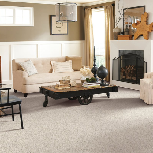 Tiles in Style, LLC providing stain-resistant pet proof carpet in South Holland, IL - Restful Style-Catalina