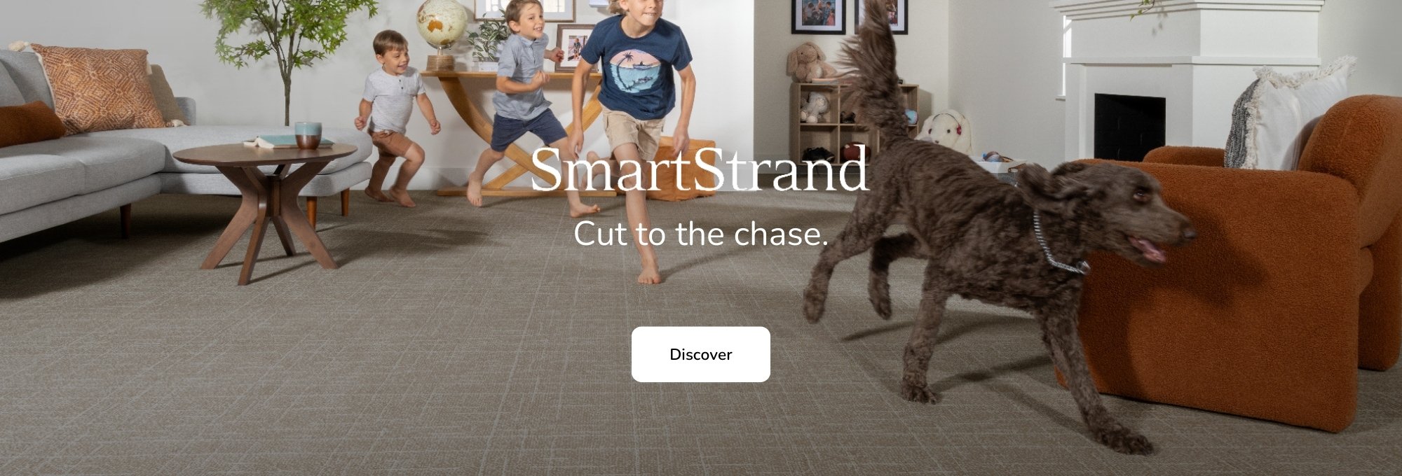 Browse SmartStrand Mohawk Products