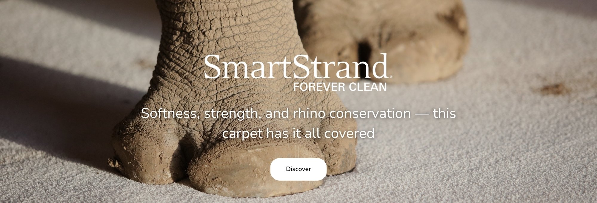 Browse SmartStrand Mohawk Products